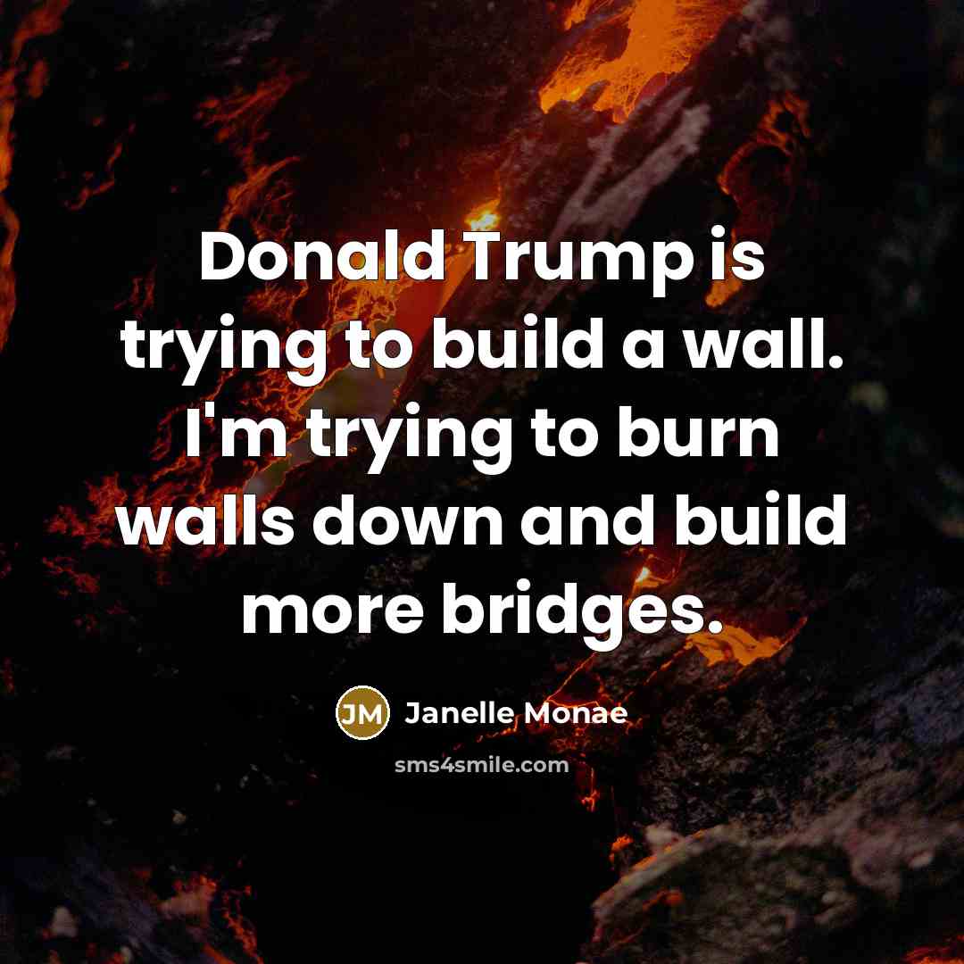 “Donald Trump is trying to build a wall. I'm trying…” quote by Janelle Monae