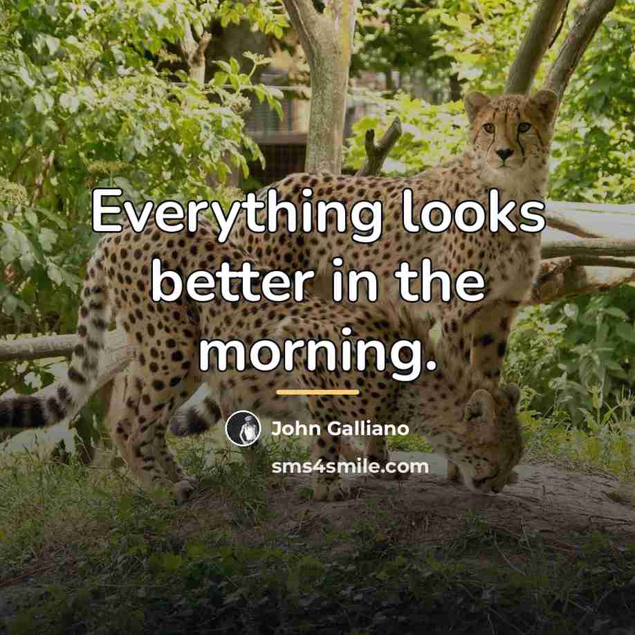 “Everything looks better in the morning.…” quote by John Galliano