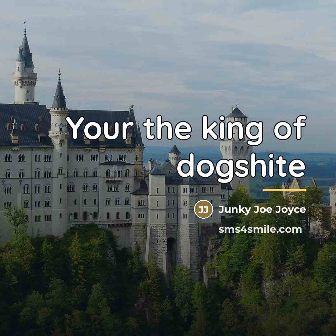 “Your the king of dogshite…” quote by Junky Joe Joyce