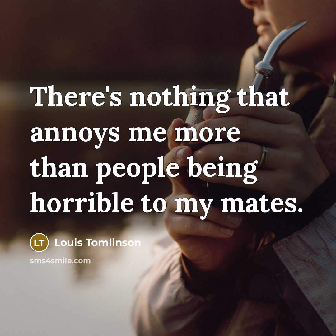 “There's nothing that annoys me more than people being horrible…” quote by Louis Tomlinson