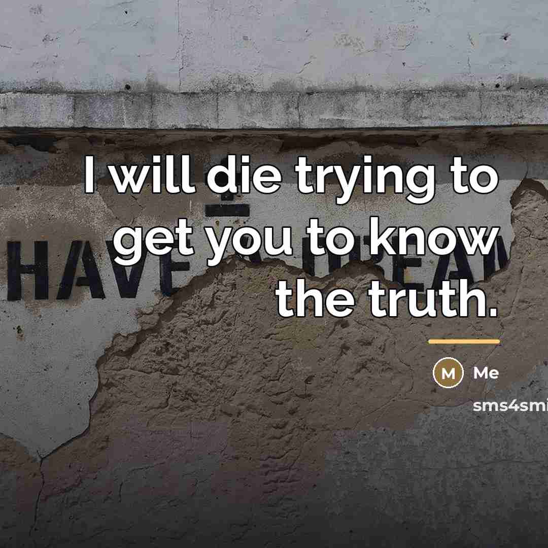 “I will die trying to get you to know the…” quote by Me