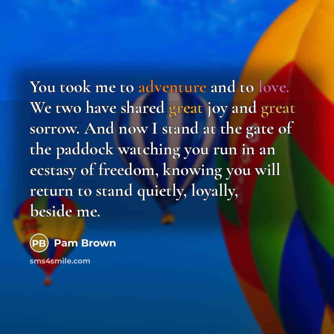 “You took me to adventure and to love. We two…” quote by Pam Brown