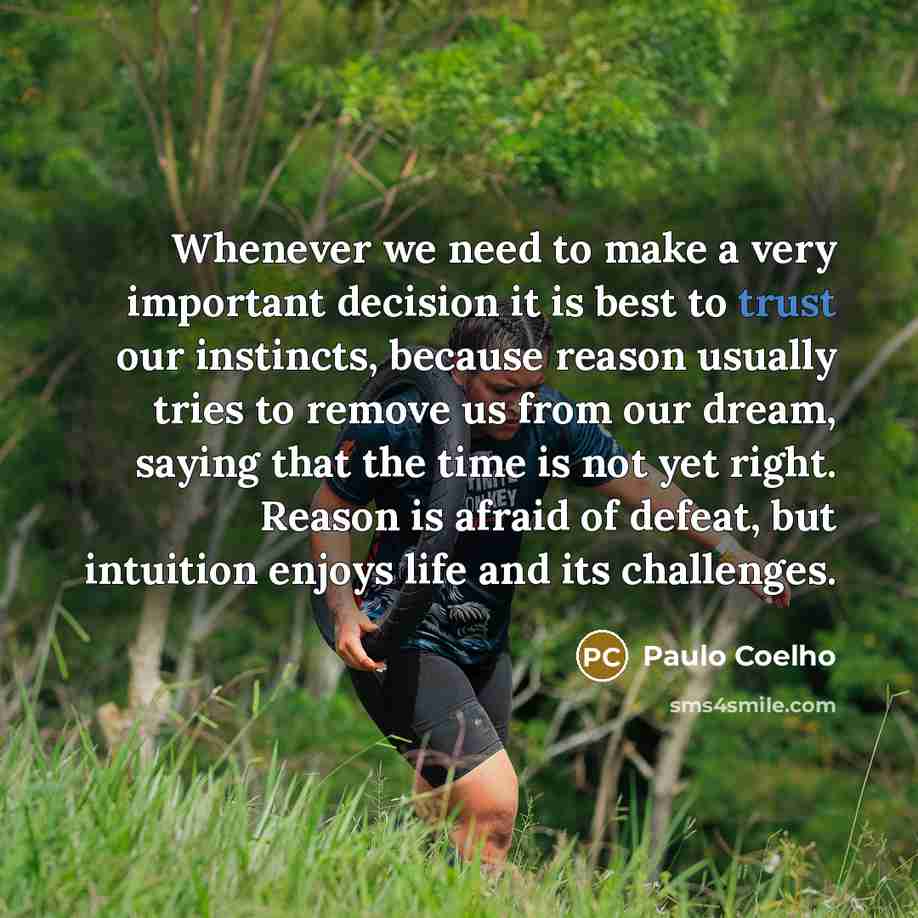“Whenever we need to make a very important decision it…” quote by Paulo Coelho