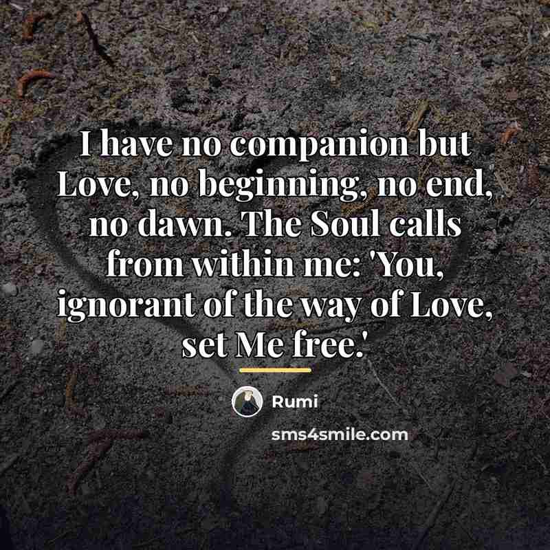 “I have no companion but Love, no beginning, no end,…” quote by Rumi