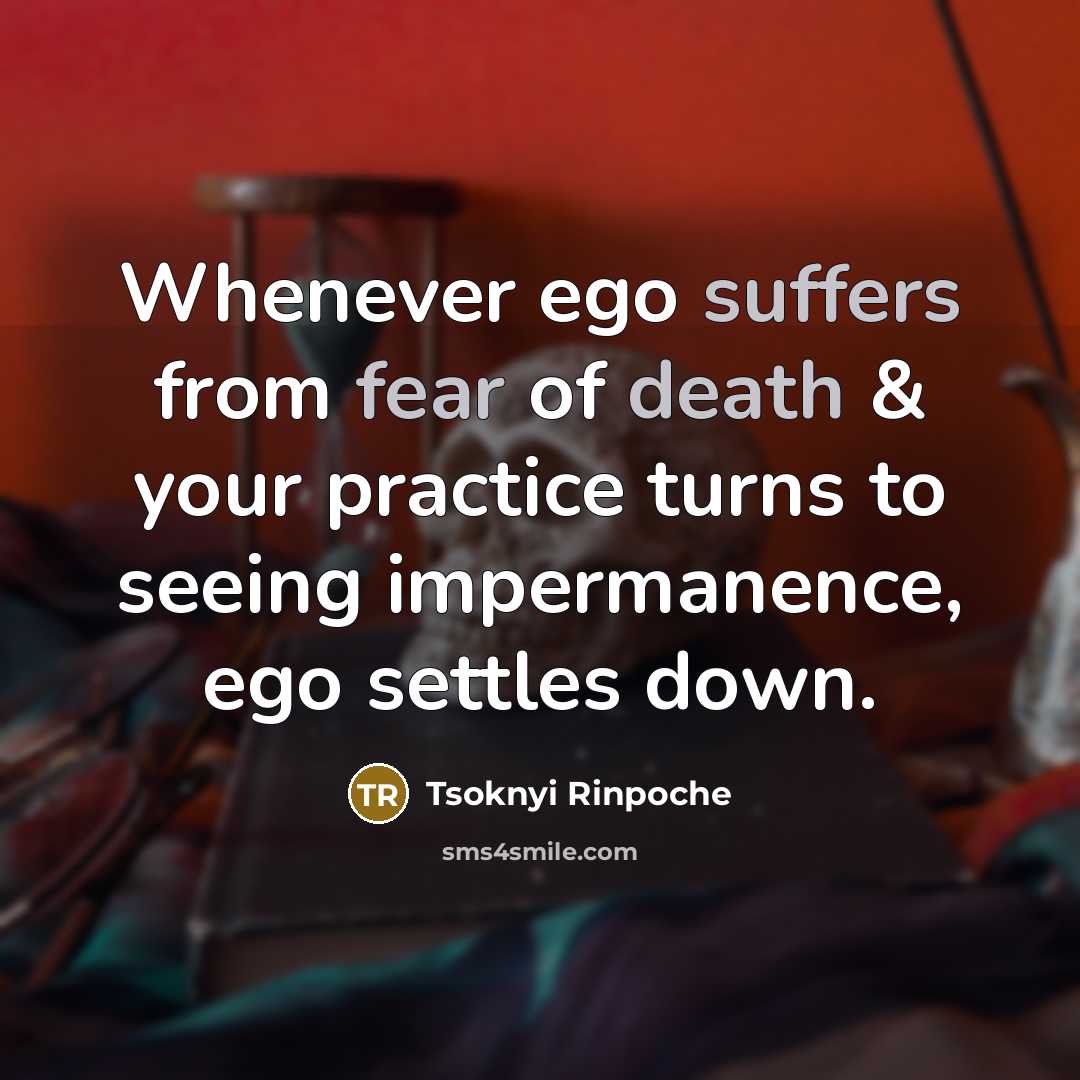 “Whenever ego suffers from fear of death & your practice…” quote by Tsoknyi Rinpoche