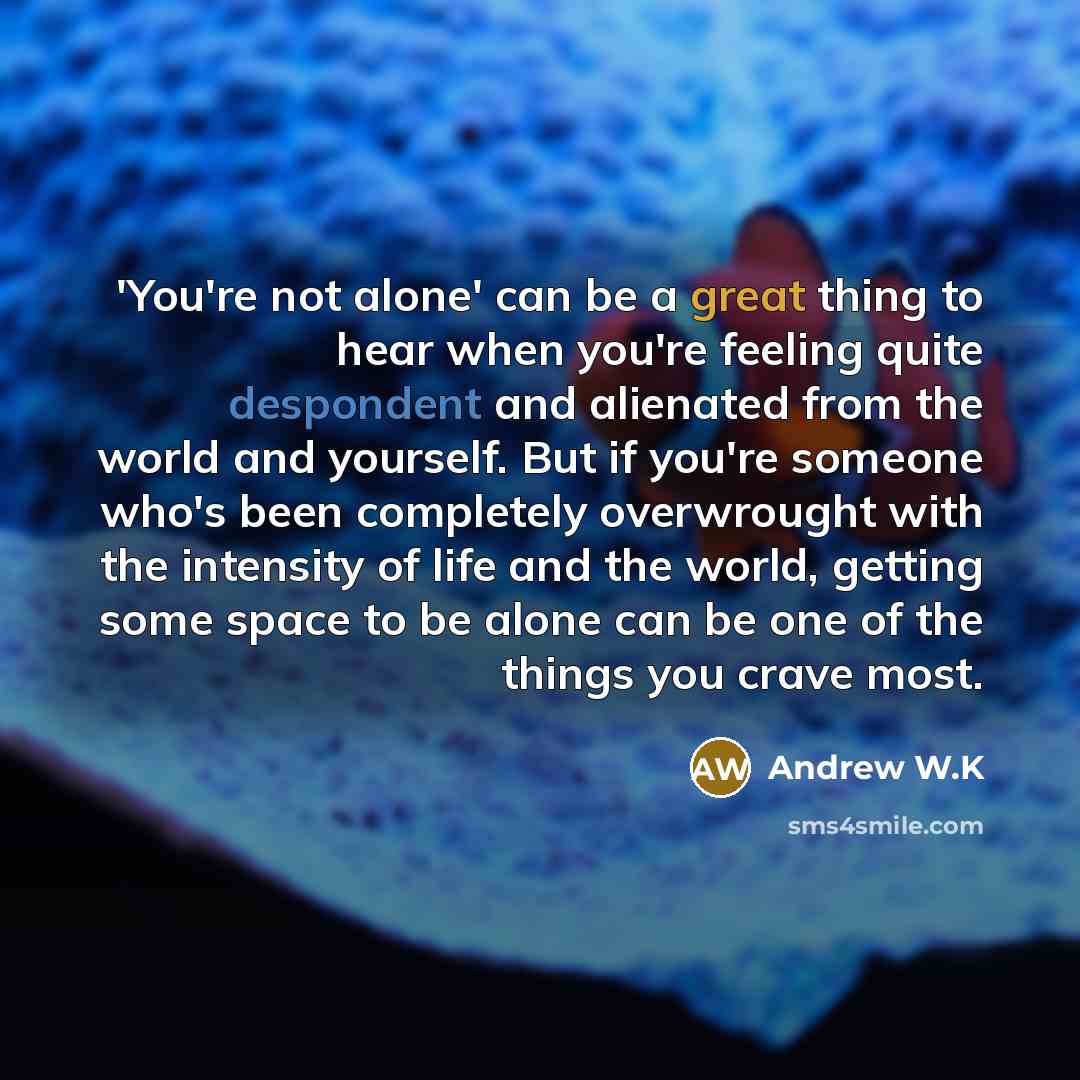 “'You're not alone' can be a great thing to hear…” quote by Andrew W.K