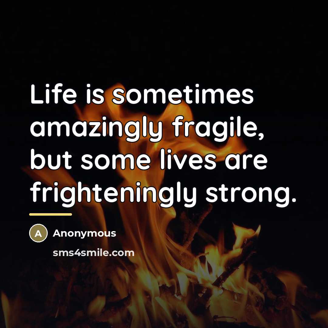 “Life is sometimes amazingly fragile, but some lives are frighteningly…” quote by Anonymous