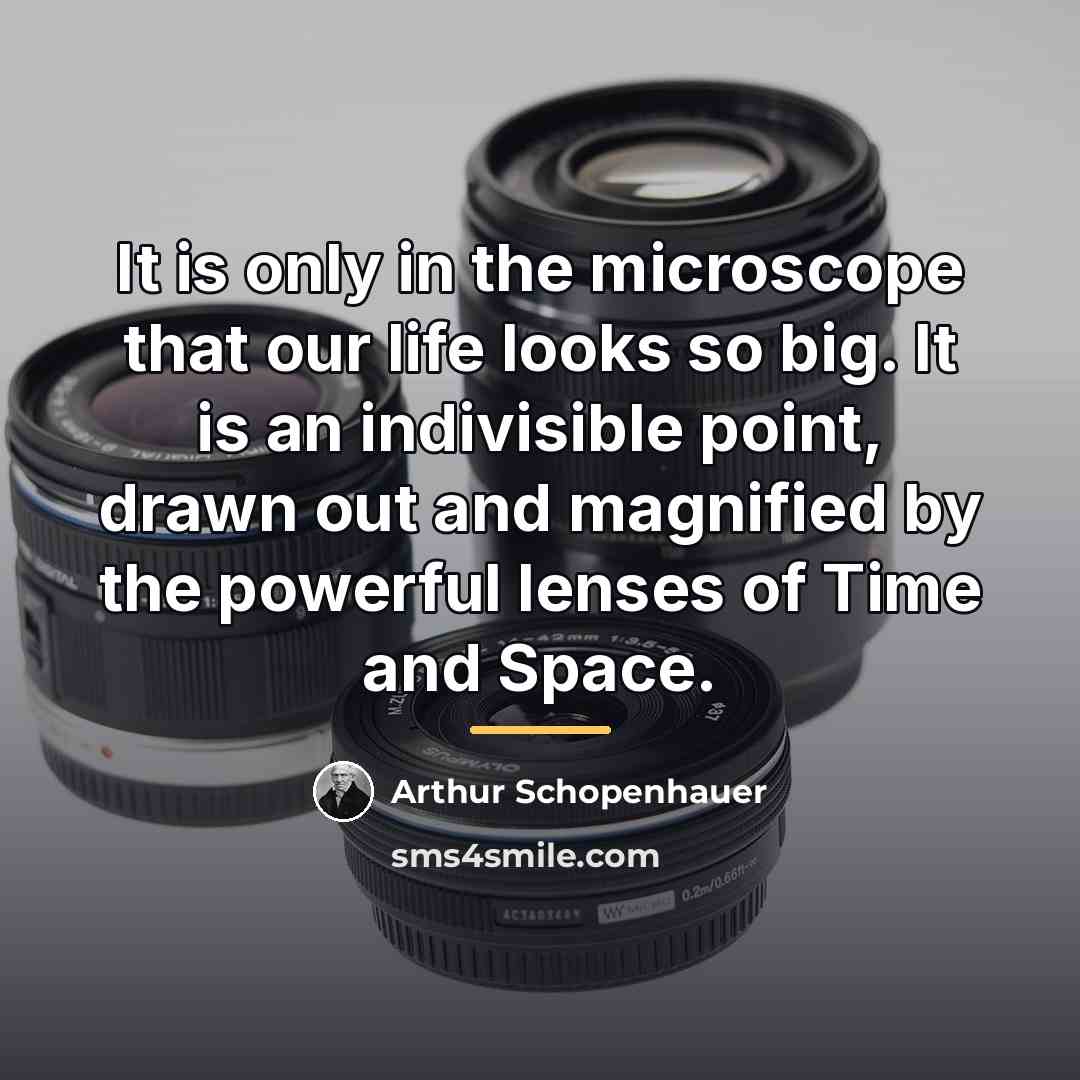 “It is only in the microscope that our life looks…” quote by Arthur Schopenhauer