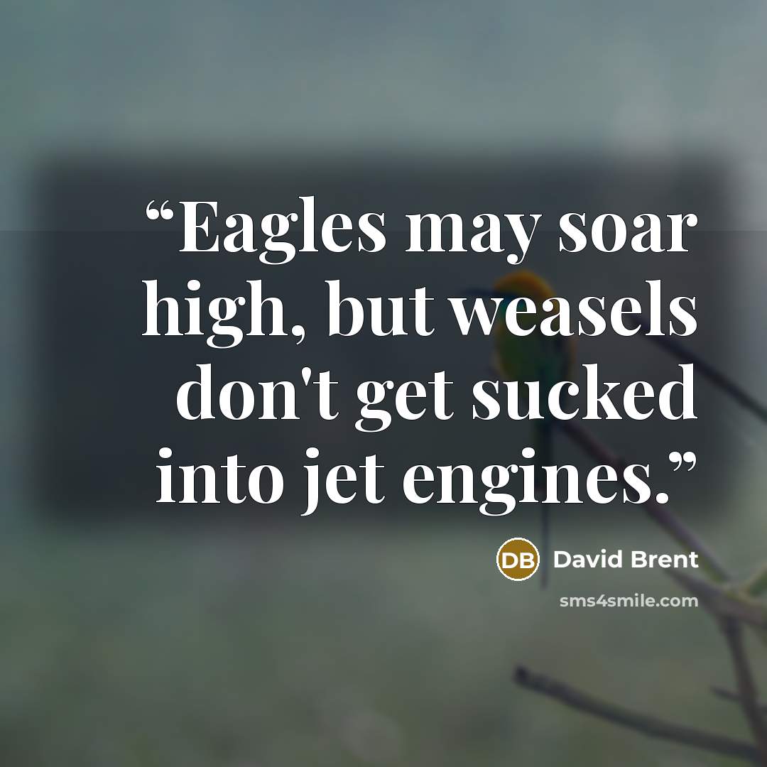 “Eagles may soar high, but weasels don't get sucked into jet engines.” quote by David Brent
