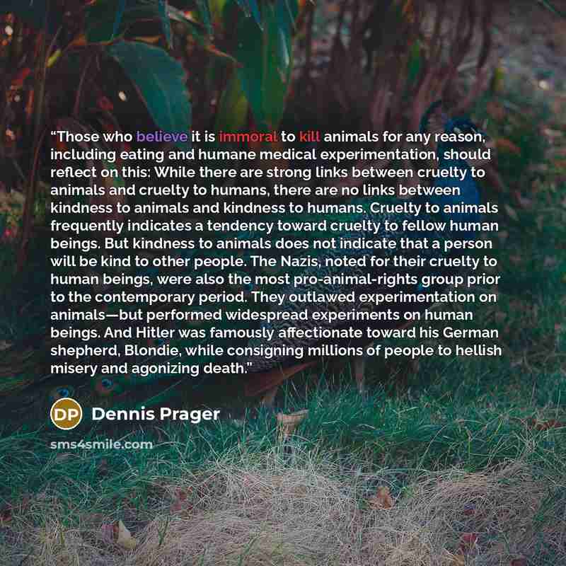 “Those who believe it is immoral to kill animals for any reason, including eating and humane medical experimentation, should reflect on this: While there are strong links between cruelty to animals and cruelty to humans, there are no links between kindness to animals and kindness to humans. Cruelty…” quote by Dennis Prager