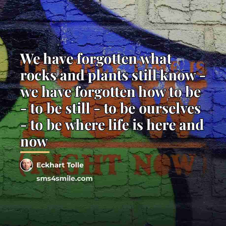 “We have forgotten what rocks and plants still know -…” quote by Eckhart Tolle