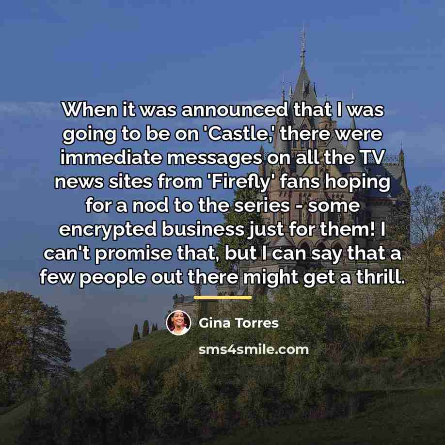 “When it was announced that I was going to be…” quote by Gina Torres