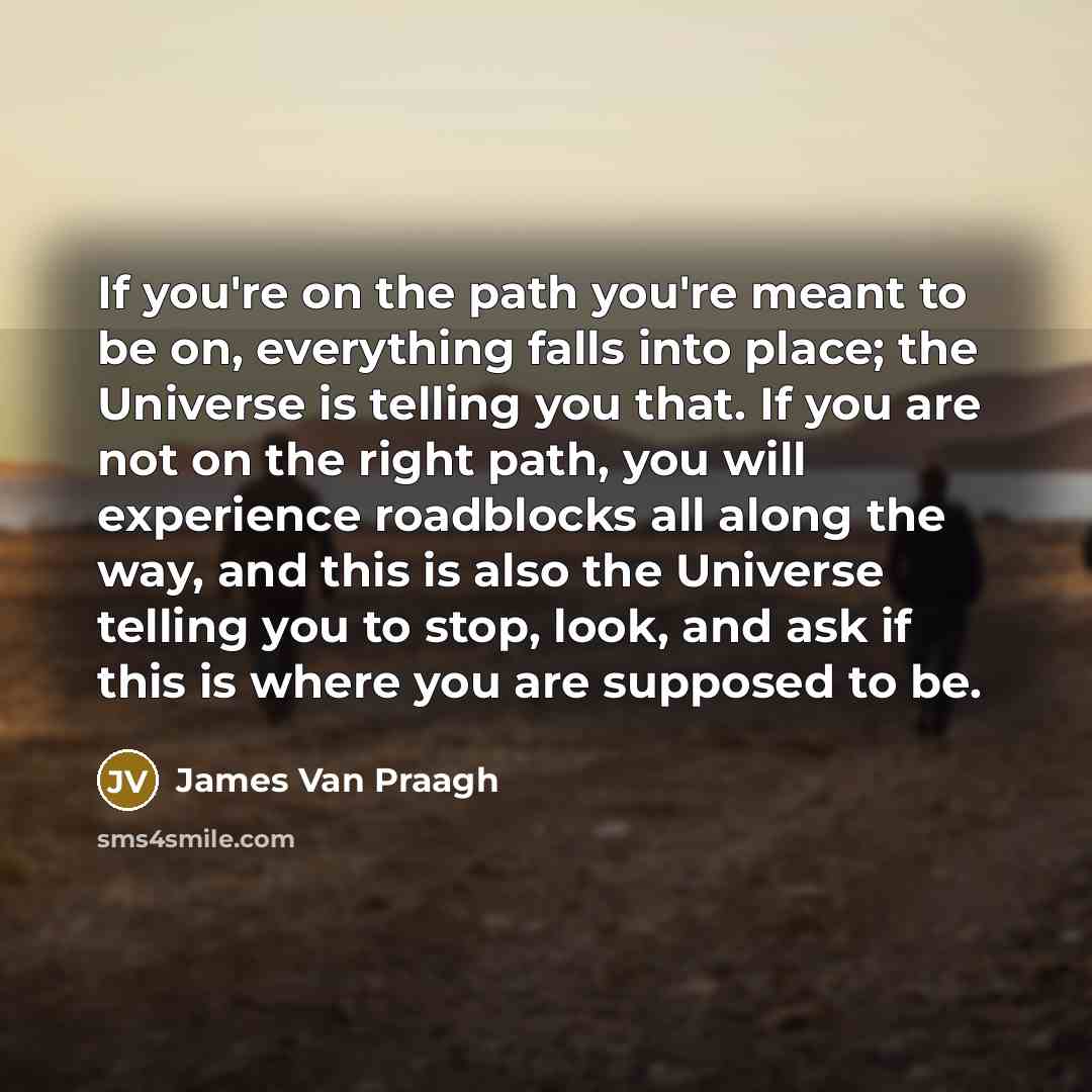 “If you're on the path you're meant to be on,…” quote by James Van Praagh