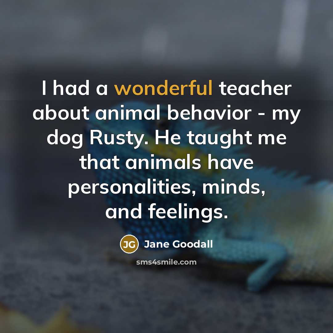 “I had a wonderful teacher about animal behavior - my…” quote by Jane Goodall