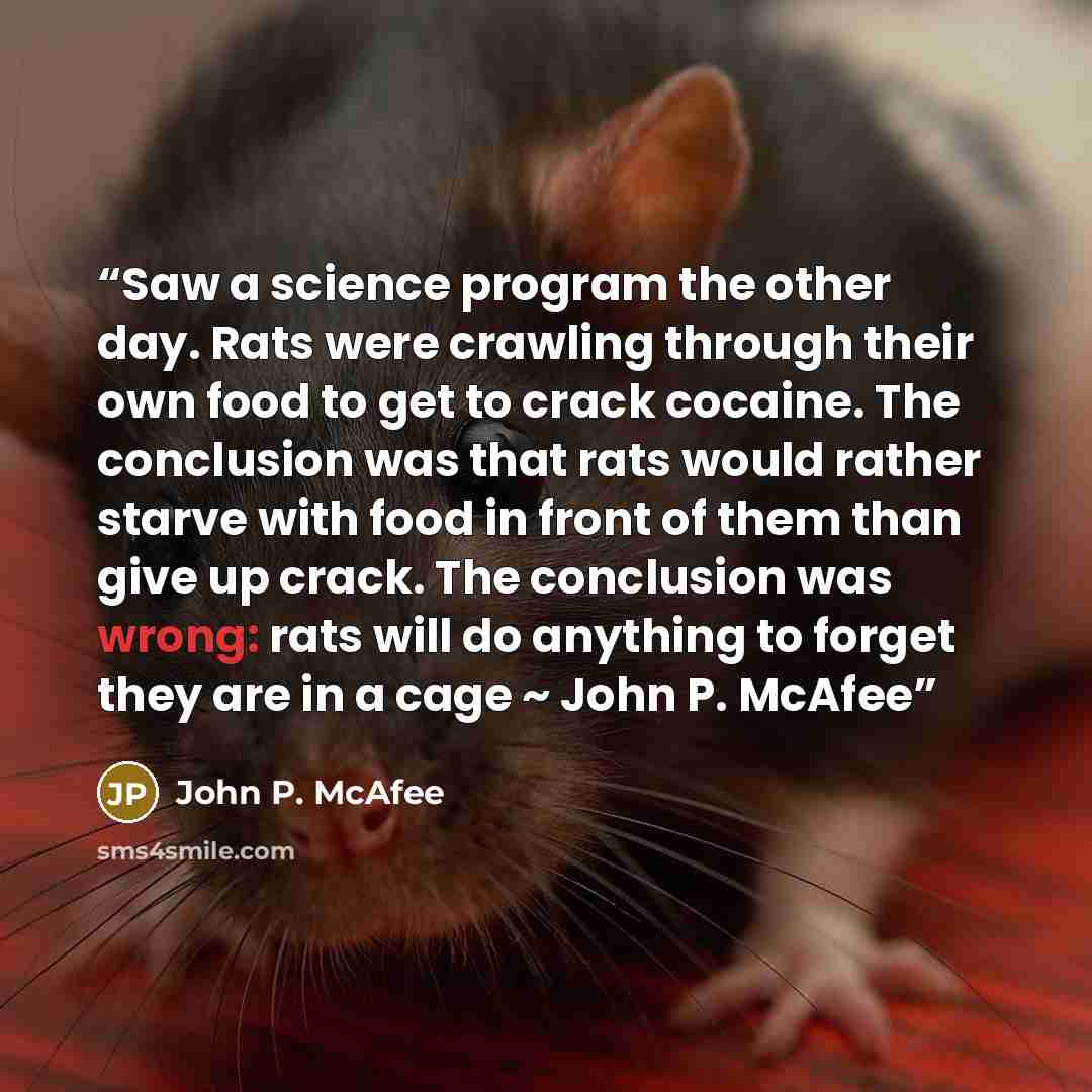 “Saw a science program the other day. Rats were crawling through their own food to get to crack cocaine. The conclusion was that rats would rather starve with food in front of them than give up crack. The conclusion was wrong: rats will do anything to forget they are in a cage ~ John P. McAfee” quote by John P. McAfee