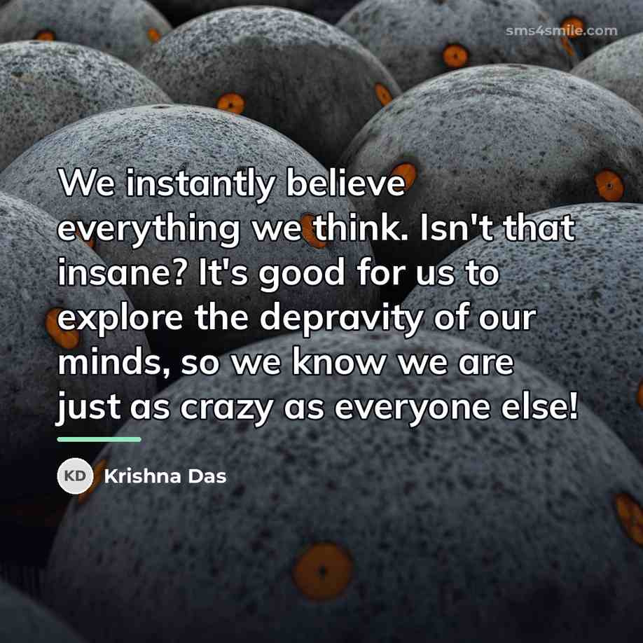 “We instantly believe everything we think. Isn't that insane? It's…” quote by Krishna Das