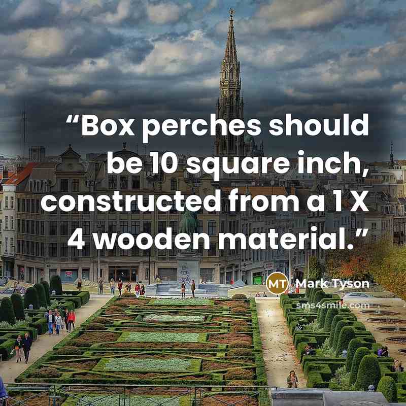 “Box perches should be 10 square inch, constructed from a 1 X 4 wooden material.” quote by Mark Tyson