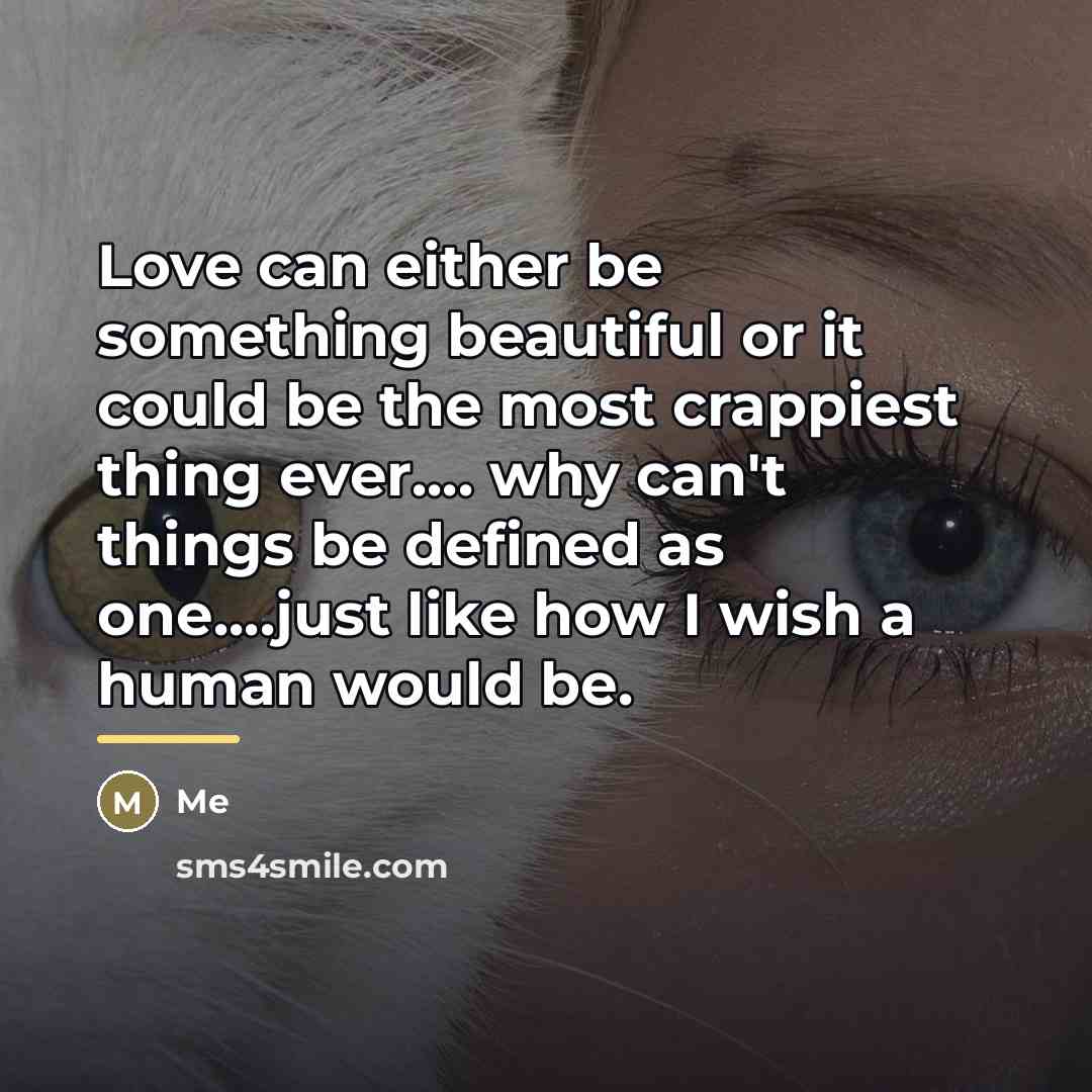 “Love can either be something beautiful or it could be…” quote by Me