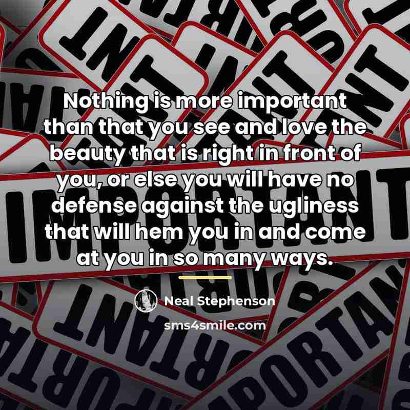 “Nothing is more important than that you see and love…” quote by Neal Stephenson
