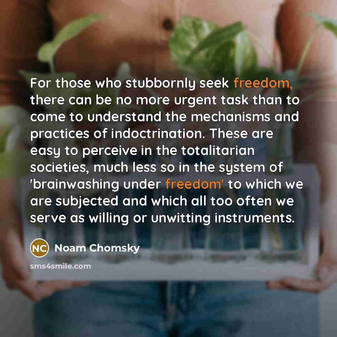 “For those who stubbornly seek freedom, there can be no…” quote by Noam Chomsky