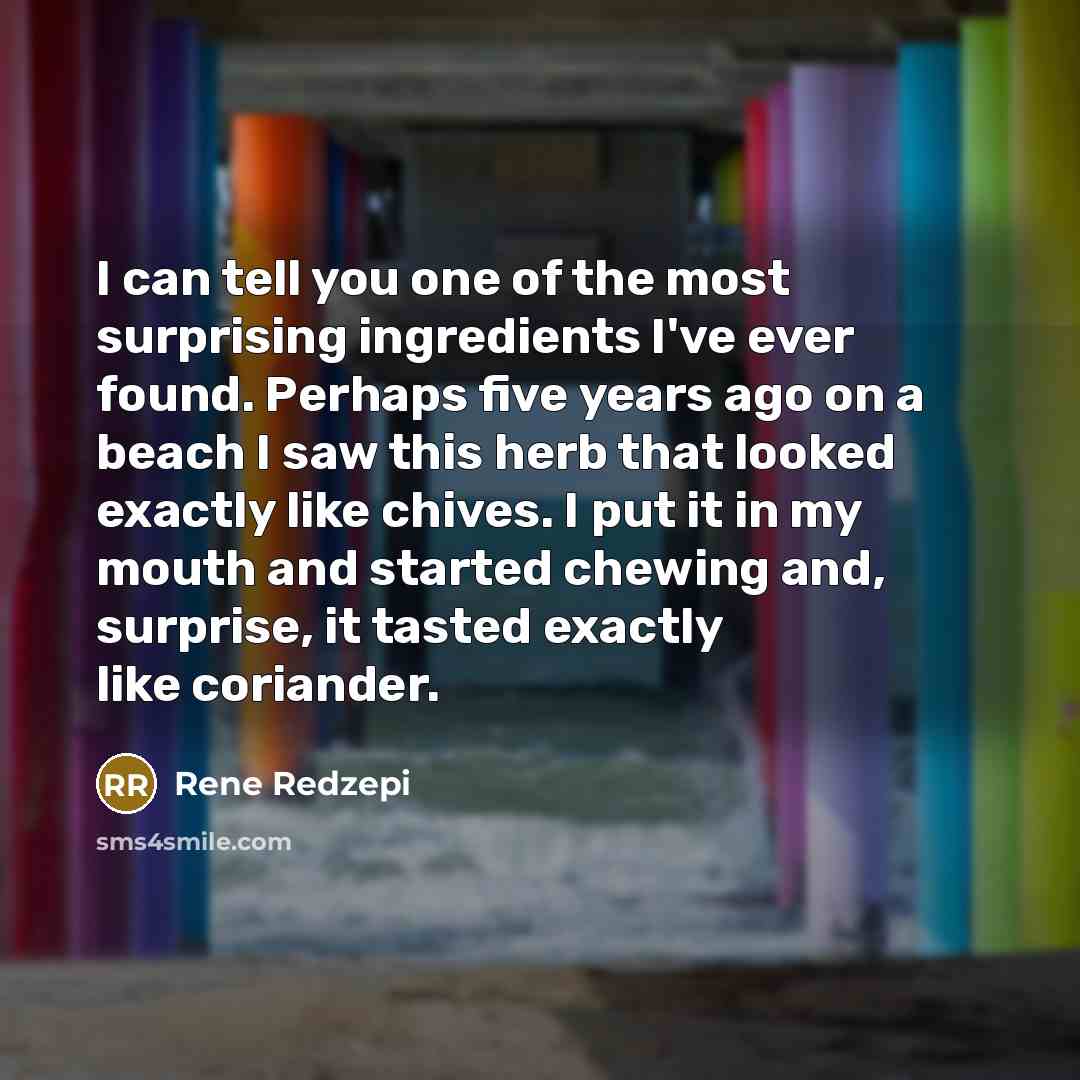 “I can tell you one of the most surprising ingredients…” quote by Rene Redzepi