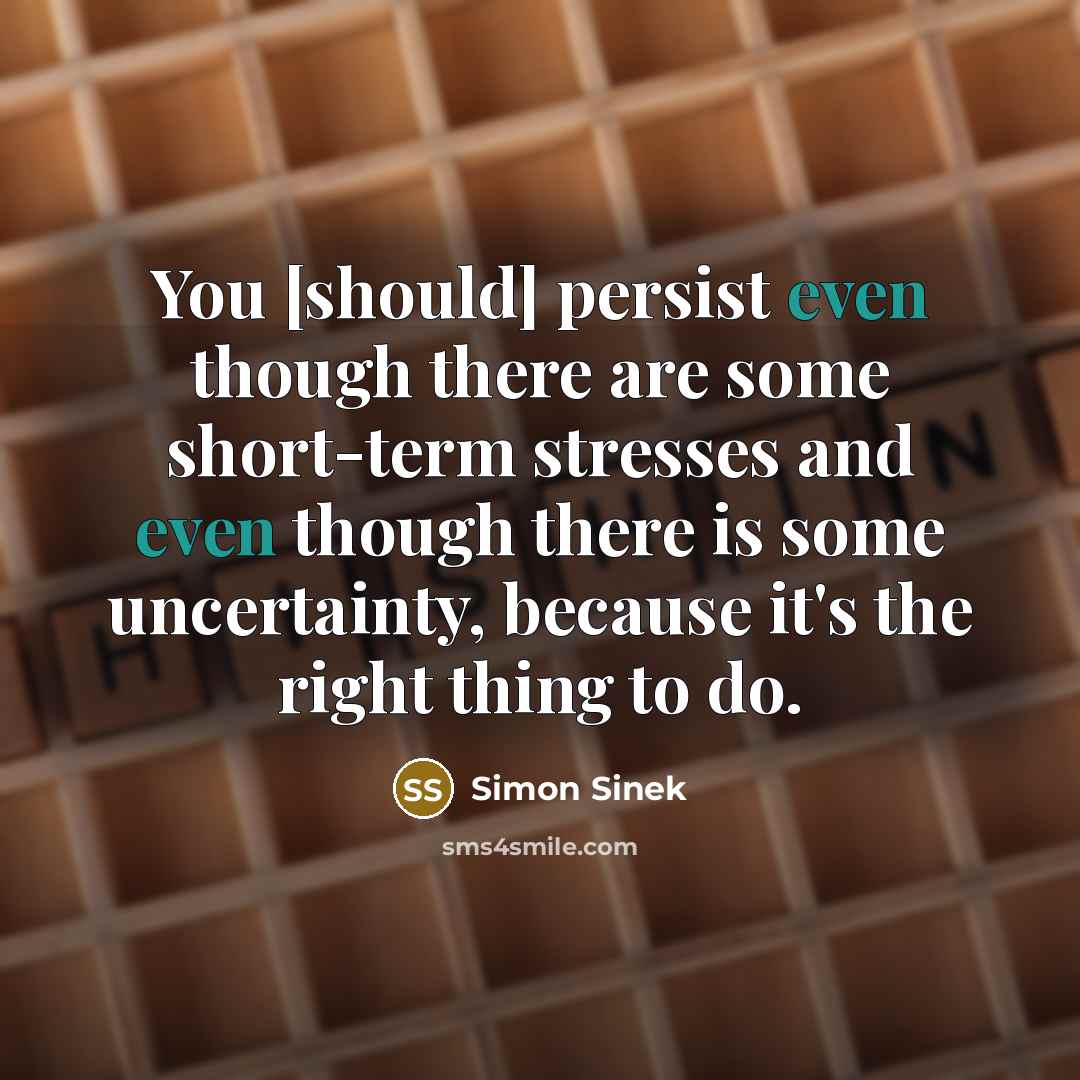 “You [should] persist even though there are some short-term stresses…” quote by Simon Sinek