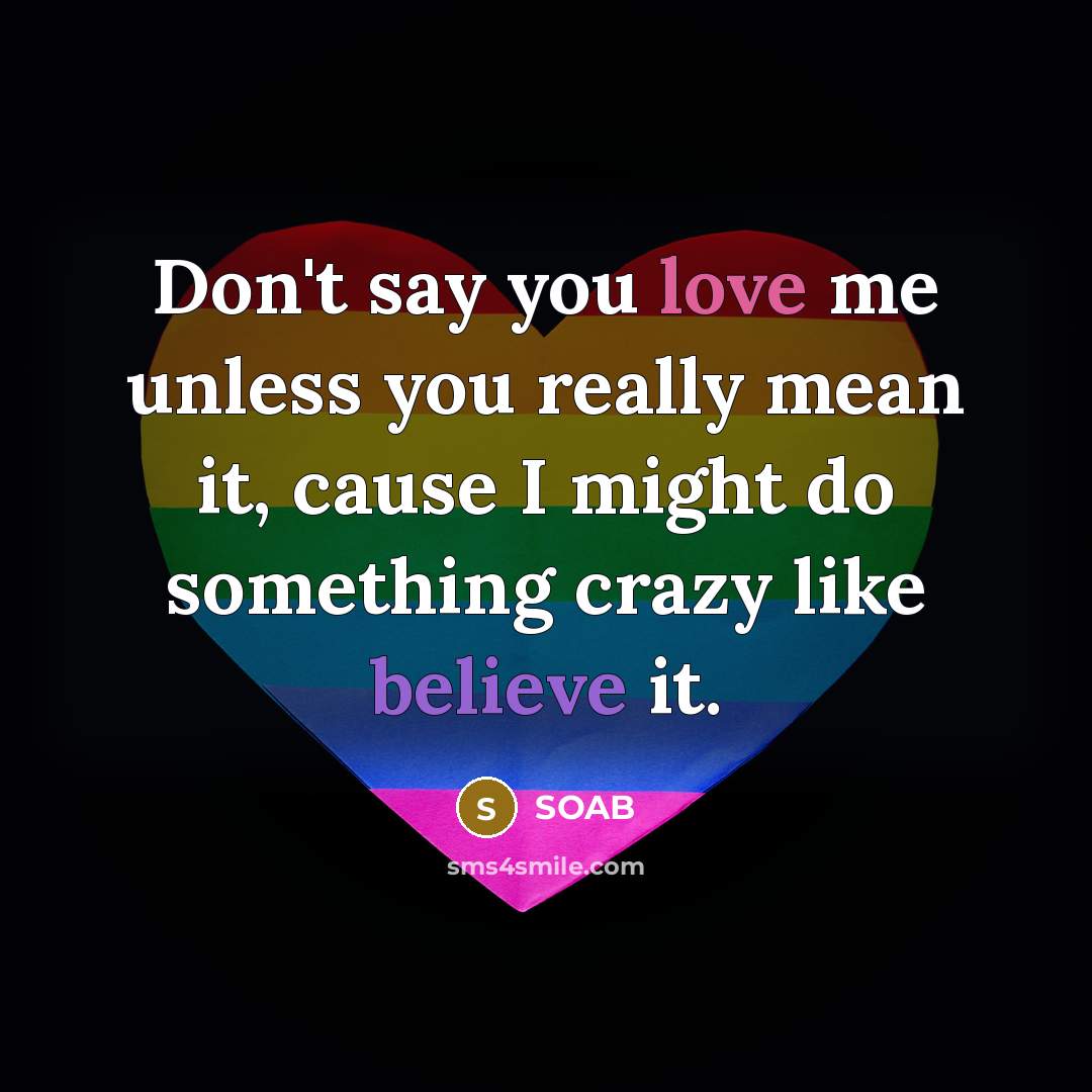 “Don't say you love me unless you really mean it,…” quote by SOAB