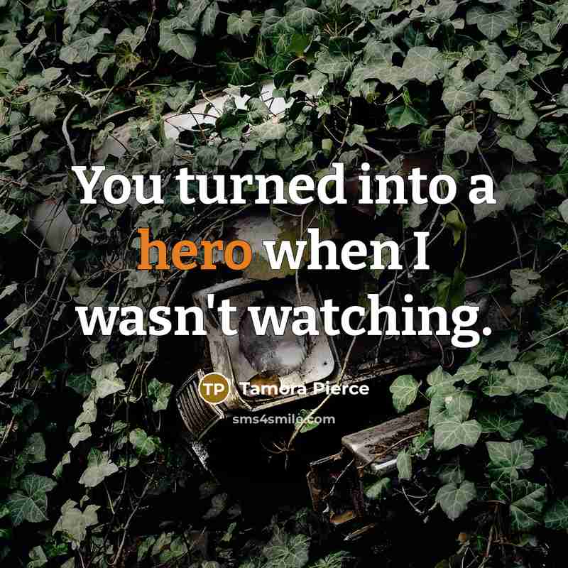 “You turned into a hero when I wasn't watching.…” quote by Tamora Pierce