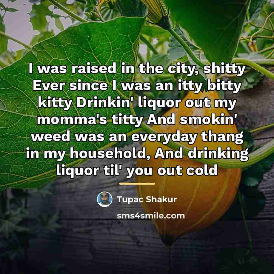 “I was raised in the city, shitty Ever since I…” quote by Tupac Shakur
