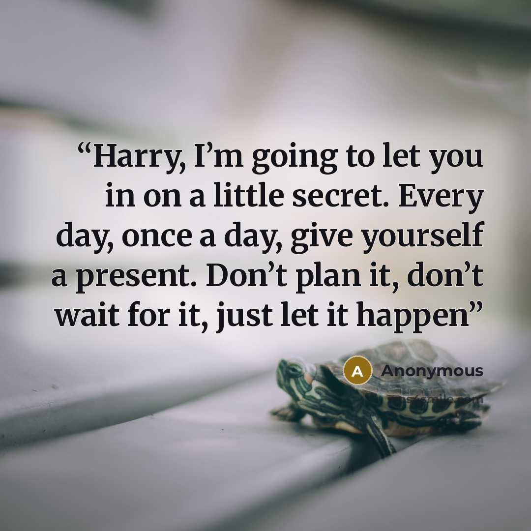 “Harry, I’m going to let you in on a little secret. Every day, once a day, give yourself a present. Don’t plan it, don’t wait for it, just let it happen” quote by Anonymous