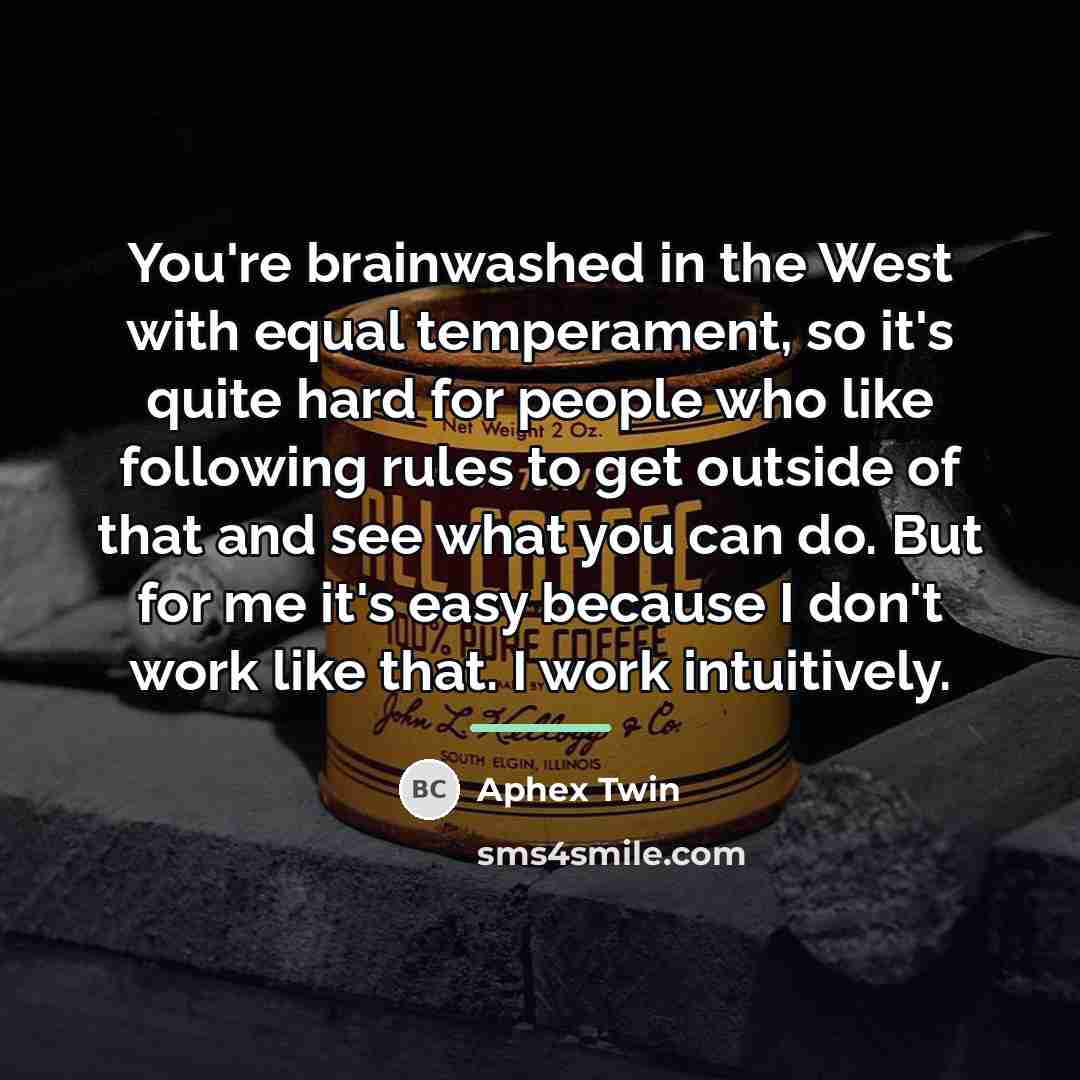 “You're brainwashed in the West with equal temperament, so it's…” quote by Aphex Twin