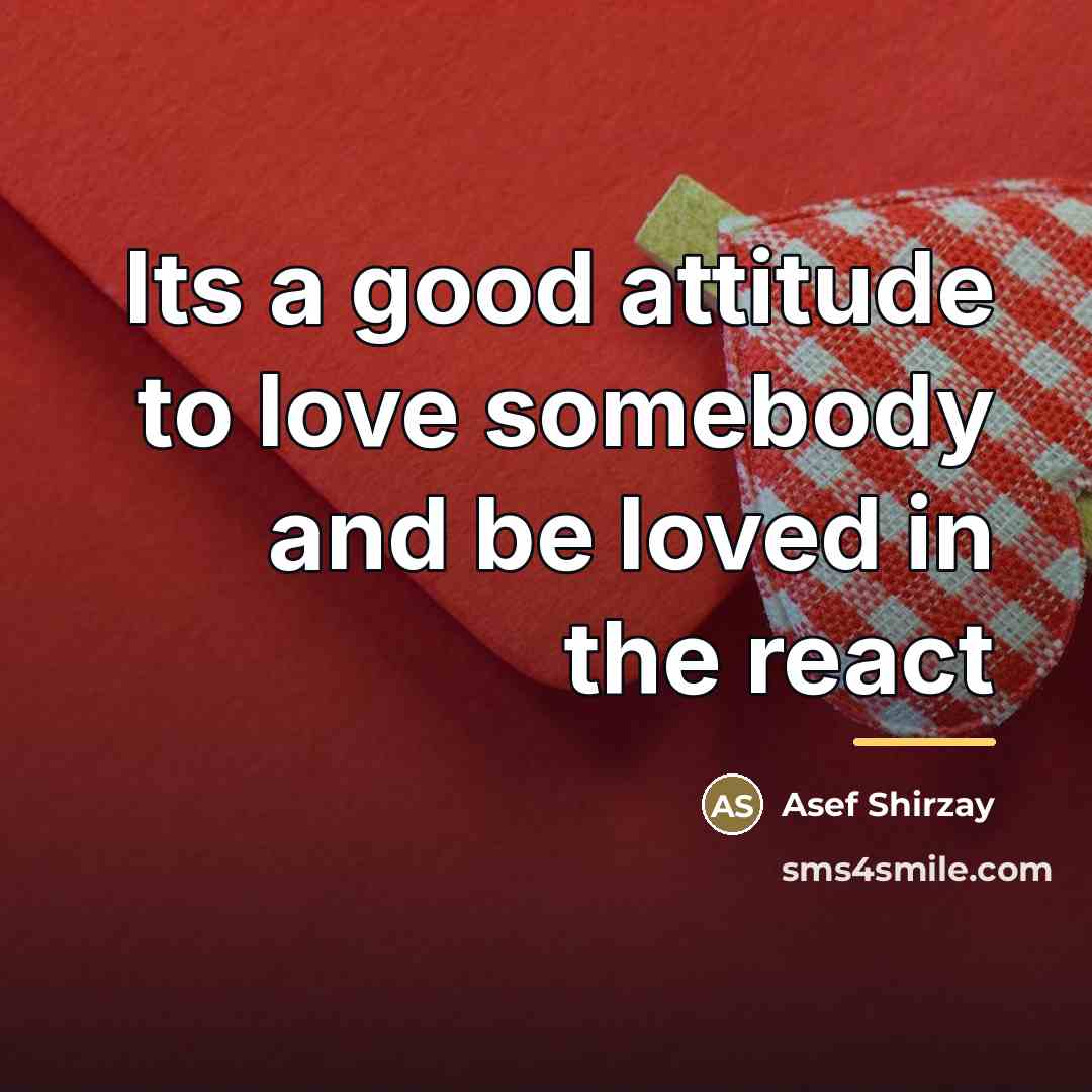 “Its a good attitude to love somebody and be loved…” quote by Asef Shirzay