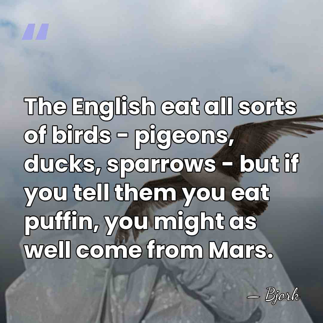 The English eat all sorts of birds - pigeons, ducks, sparrows -&hellip; - Bjork