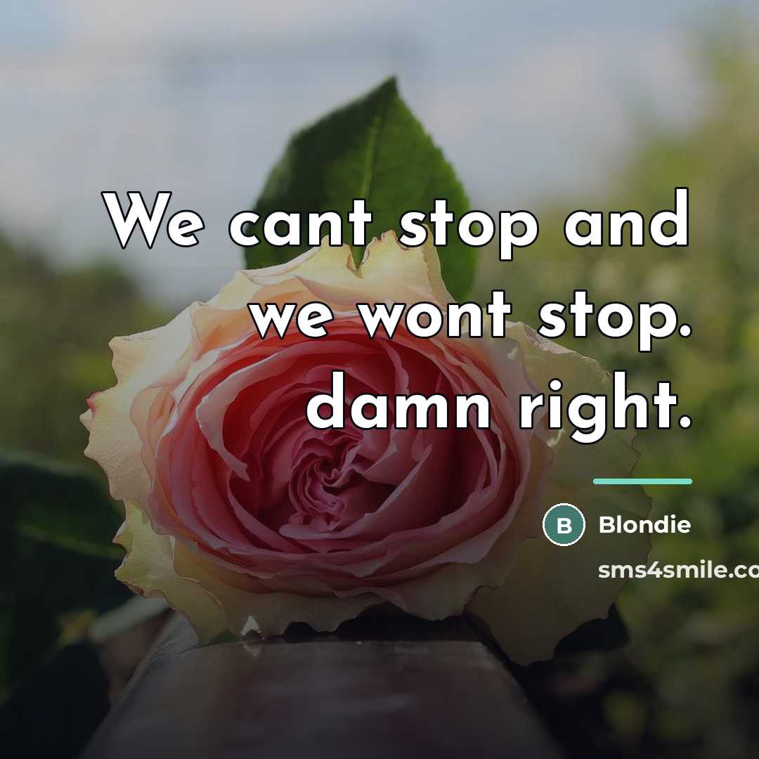 “We cant stop and we wont stop. damn right.…” quote by Blondie