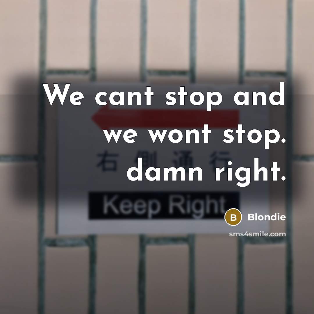 “We cant stop and we wont stop. damn right.” quote by Blondie