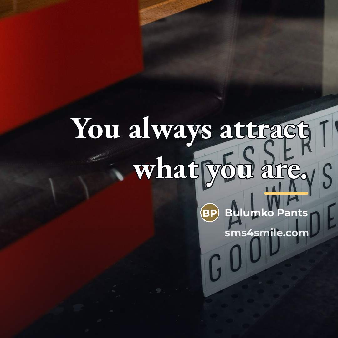 “You always attract what you are.…” quote by Bulumko Pants