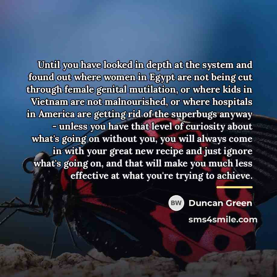 “Until you have looked in depth at the system and…” quote by Duncan Green