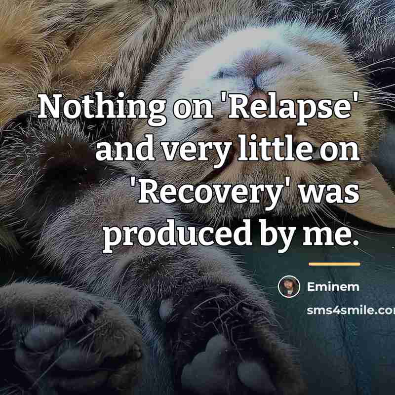 “Nothing on 'Relapse' and very little on 'Recovery' was produced…” quote by Eminem