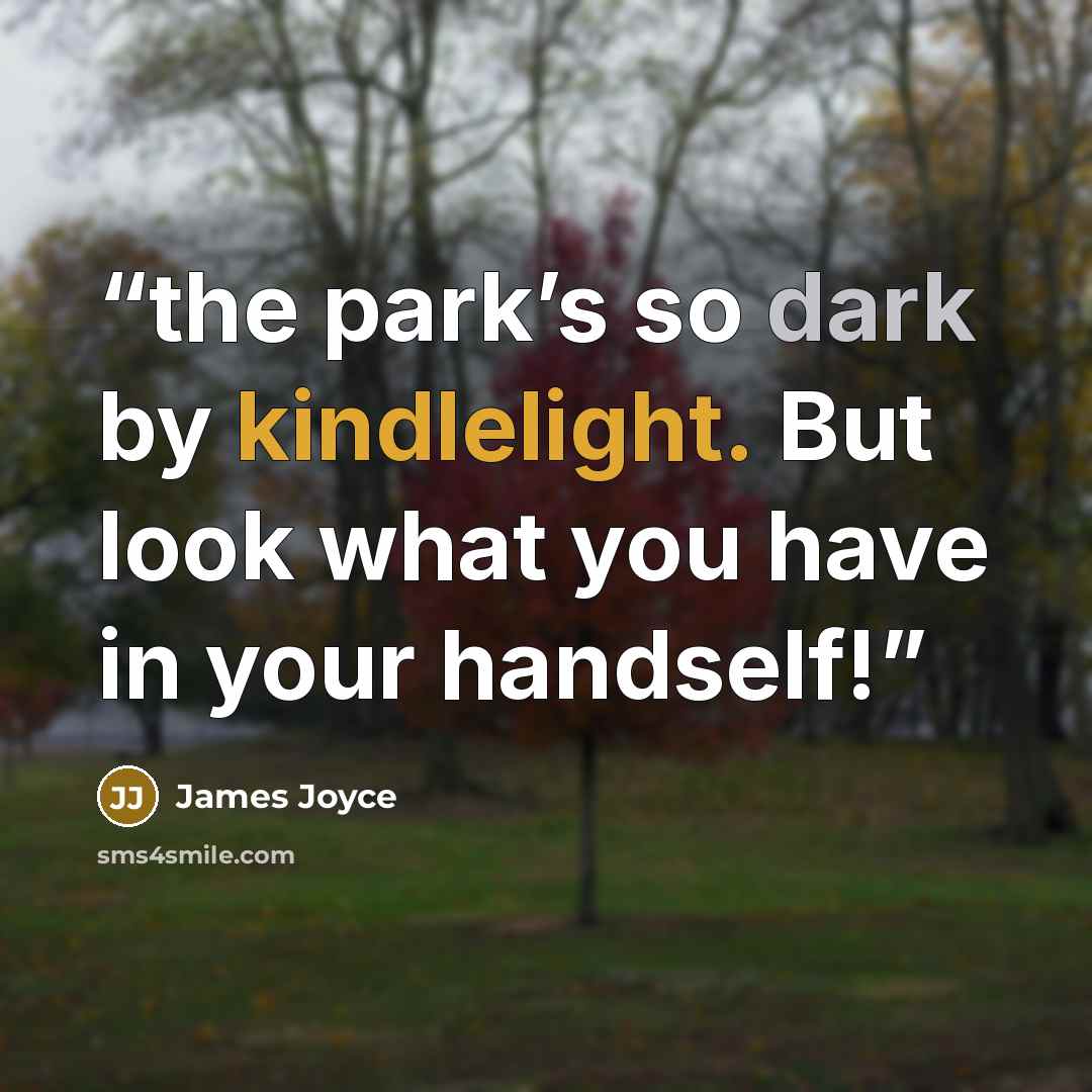 “the park’s so dark by kindlelight. But look what you have in your handself!” quote by James Joyce