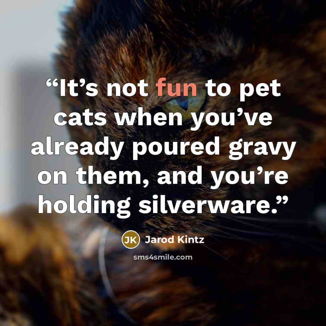 “It’s not fun to pet cats when you’ve already poured gravy on them, and you’re holding silverware.” quote by Jarod Kintz