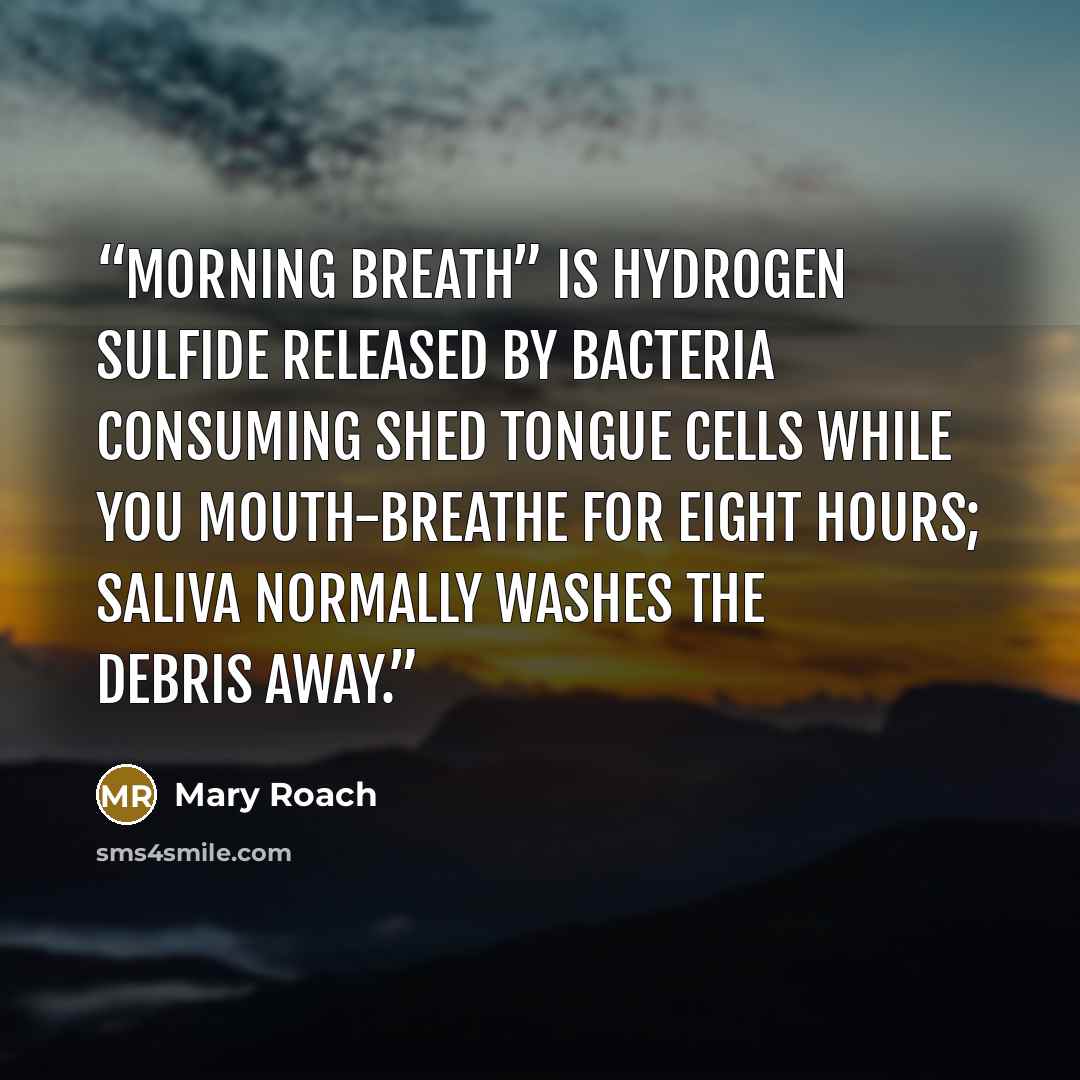 “Morning breath” is hydrogen sulfide released by bacteria consuming shed tongue cells while you mouth-breathe for eight hours; saliva normally washes the debris away.” quote by Mary Roach