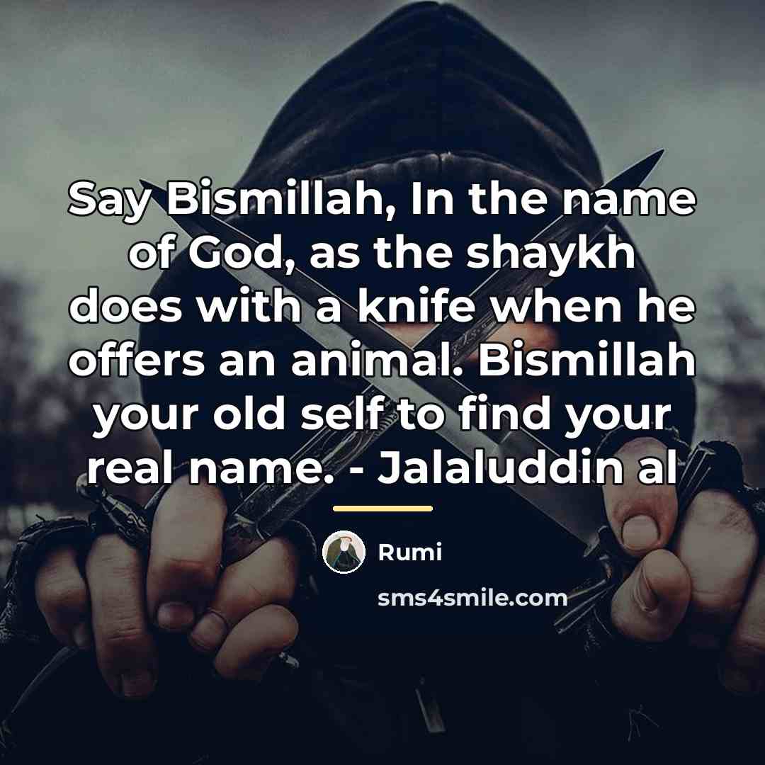 “Say Bismillah, In the name of God, as the shaykh…” quote by Rumi