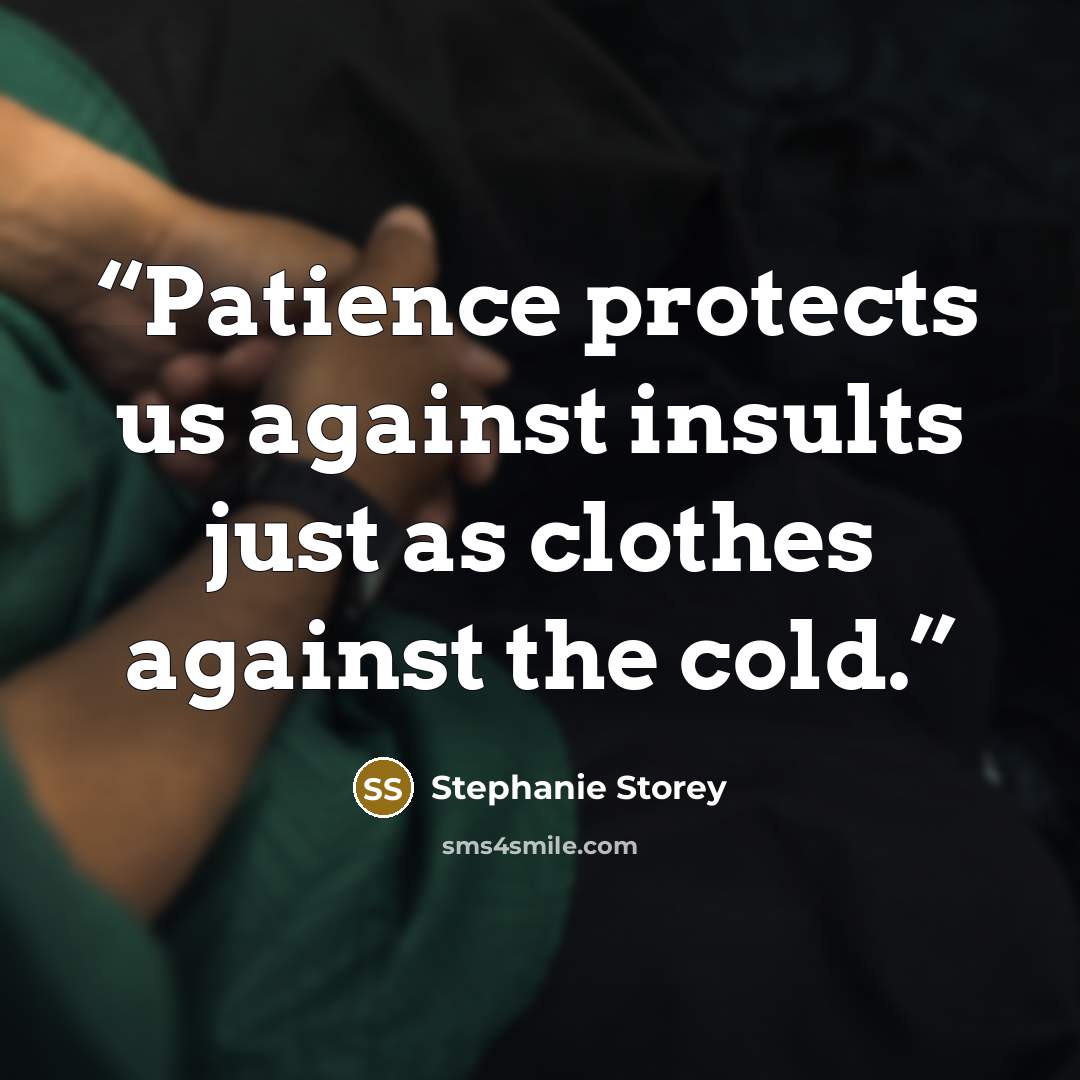 “Patience protects us against insults just as clothes against the cold.” quote by Stephanie Storey