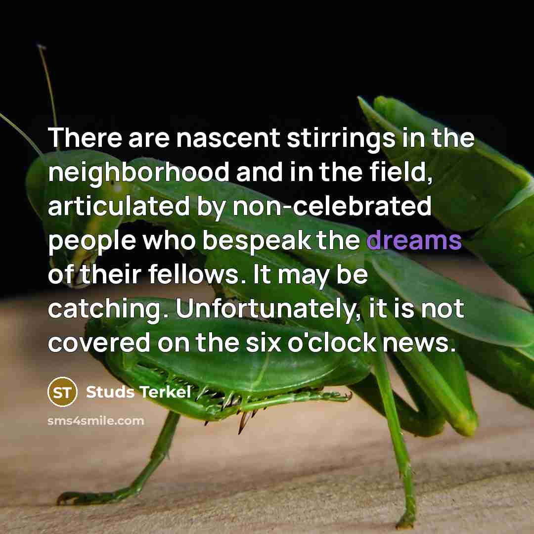 “There are nascent stirrings in the neighborhood and in the…” quote by Studs Terkel