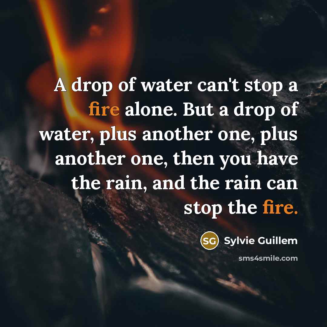 “A drop of water can't stop a fire alone. But…” quote by Sylvie Guillem