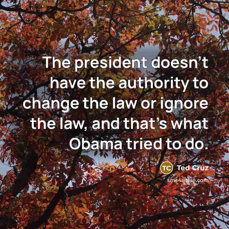 “The president doesn't have the authority to change the law…” quote by Ted Cruz