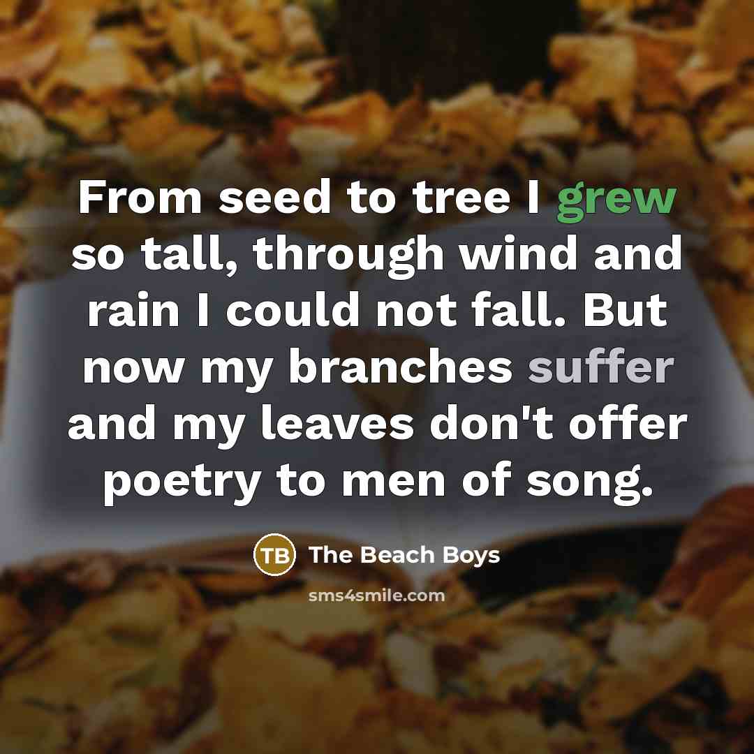 “From seed to tree I grew so tall, through wind and rain I could not fall. But now my branches suffer and my leaves don't offer poetry to men of song.” quote by The Beach Boys