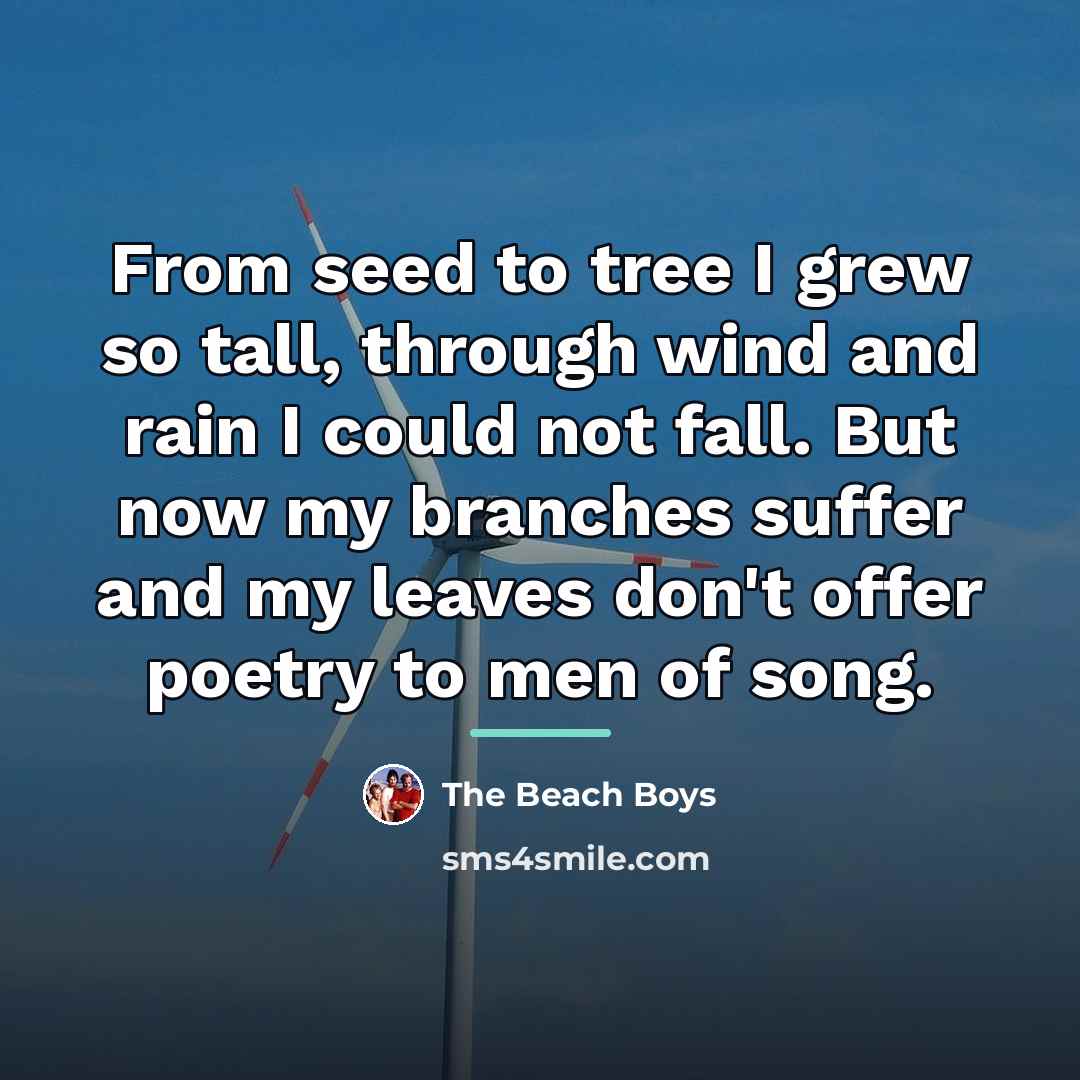 “From seed to tree I grew so tall, through wind…” quote by The Beach Boys