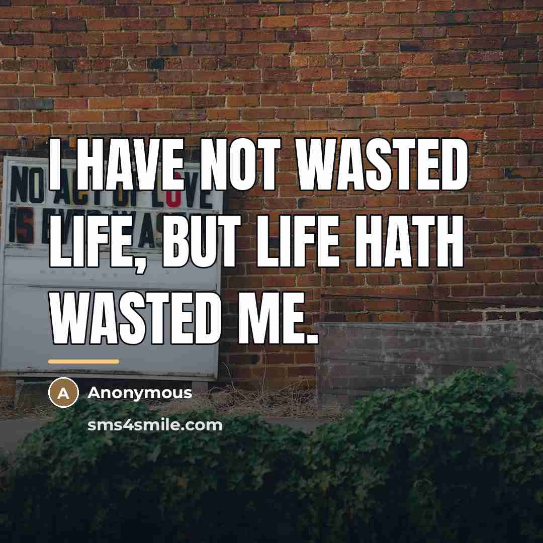 “I have not wasted life, but life hath wasted me.…” quote by Anonymous