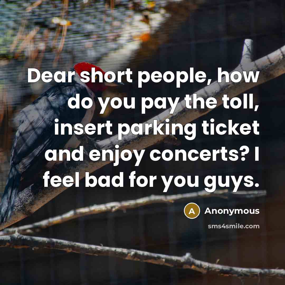 “Dear short people, how do you pay the toll, insert parking ticket and enjoy concerts? I feel bad for you guys.” quote by Anonymous